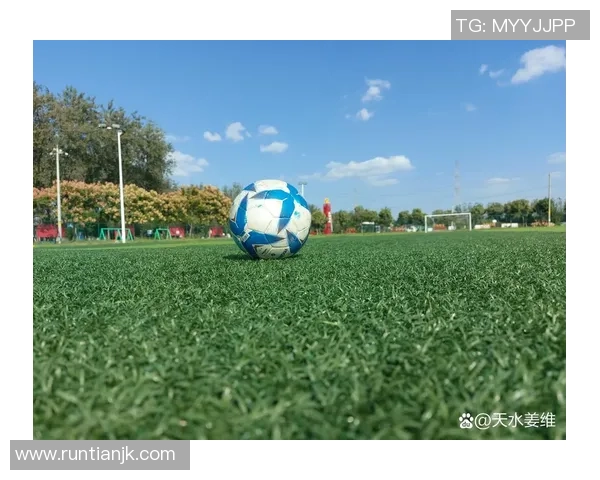 足球场上的情感交织与表情传递探讨