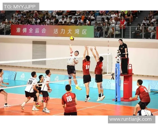 广州排球队的节奏解析与深度剖析展现排球魅力与团队协作的艺术