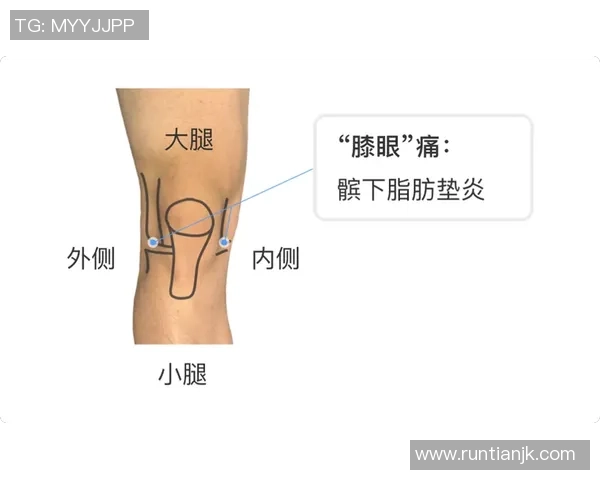 足球压膝盖的危害与预防措施探讨如何保护运动员的膝关节健康
